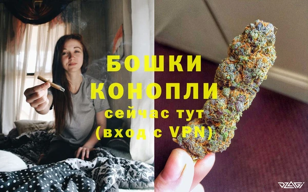 стаф Белоозёрский