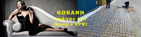круглые Белокуриха